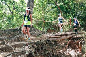 BIB: 
                            <button type="button" onclick="openModal(27719205)" class="btn btn-primary btn-sm float-right btn-popup" data-toggle="modal" data-target=".modal-high-quality">
                        <i class="fas fa-shopping-cart"></i> Add to Cart
                    </button>
                                            <button type="button" onclick="isThisMe(27719205, true)" class="btn btn-success btn-sm float-right btn-popup btn-isme hidden" data-toggle="tooltip" data-placement="bottom" title="นี่คือรูปของคุณใช่ไหม คลิกที่นี่เพื่อเอาเข้าอัลบั้ม">
                        <i class="fas fa-plus"></i> Add to album
                    </button>
                    <button type="button" onclick="isThisMe(27719205, false)" class="btn btn-warning btn-sm float-right btn-popup btn-isnotme hidden">
                        <i class="fas fa-ban"></i> Remove from album
                    </button>